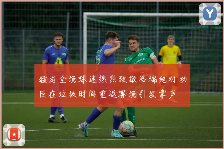 猛龙全场球迷热烈致敬洛瑞绝对功臣在垃圾时间重返赛场引发掌声