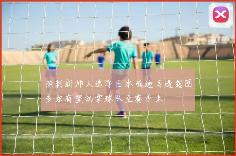 热刺新帅人选浮出水面迪马透露图多尔有望执掌球队至赛季末